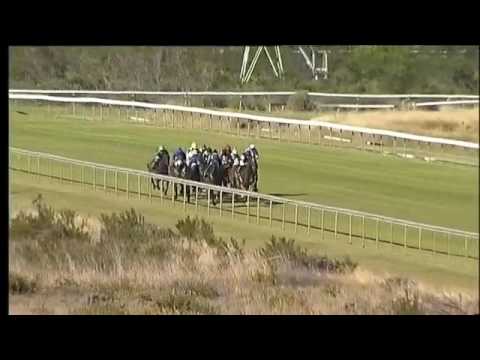 2016.01.14 Diadem Stakes (RSA) - Trip to Heaven