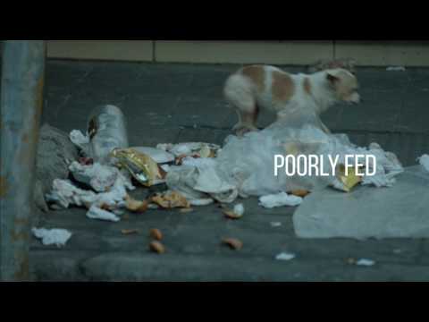 ⁣They also need your attention