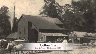 One of Alabama&#39;s oldest and most beautiful communities, Burnt Corn.