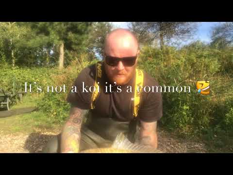 Urban Park Lake Carp Fishing