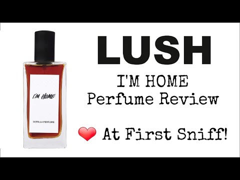 download lagu mp3 mp4 Lush Im Home, download lagu Lush Im Home gratis, unduh video klip Lush Im Home