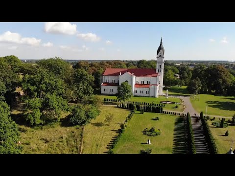 "STAR-WEDDING" Татчин Тарас, відео 3