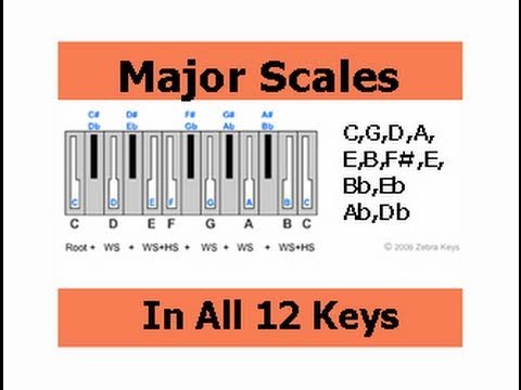 Major Scales: How to Play Major Scales in All 12 Keys - Music Theory for Beginners