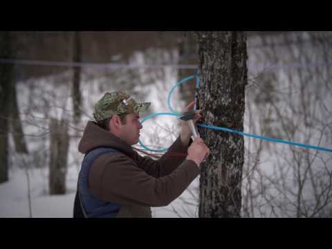 À la rencontre des producteurs