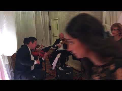 Despacito - Luis Fonsi ft. Daddy Yankee (String Quartet Cover) - Musical Occasions String Quartet