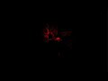 SILENT HILL 2 [2024] [PS5 1080p] Red Labyrinth Part XI - HARD - NO HUD