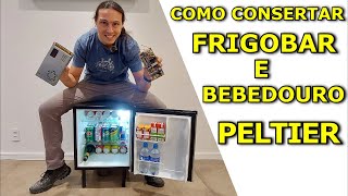 COMO FUNCIONA E COMO CONSERTAR FRIGOBAR E BEBESOURO PELTIER