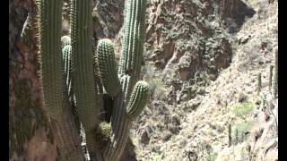 preview picture of video 'Rio Colorado Water Fall Hike -Cafayate, Argentina'