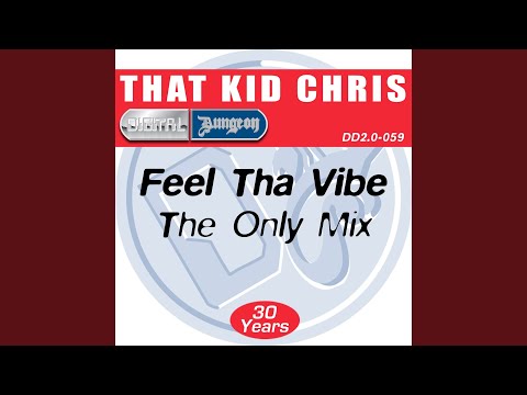 Feel The Vibe (The Only Mix)