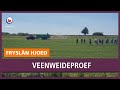 REPO: Veenweideproef