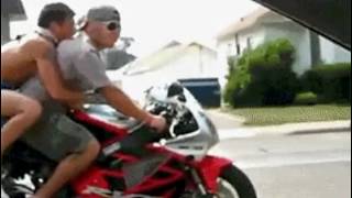 hold my beer gif