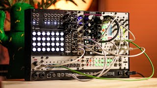 The Self Playing FUNKY Bass Patch // Mini Modular Patch Walkthrough