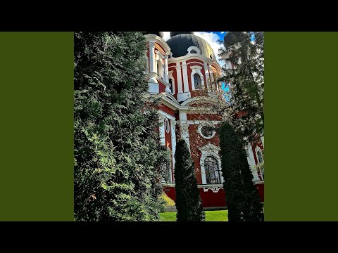 5 AM FOST IN GRIJA MAMEI (slowed, rewerb) (Radio Edit)