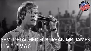 Manfred Mann - Semi-Detached Suburban Mr. James (Live 1966)