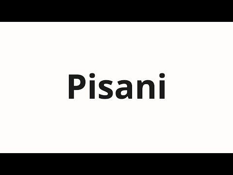 How to pronounce Pisani