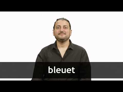 Translate BLEUET from French into English