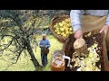 Homemade cider. Traditional crushing and pressing of apples without modern machinery