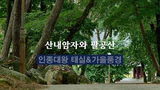 [특별전시] &apos;영남의 명찰순례Ⅱ : 팔공산 은해사&apos; - 산내암자와 팔공산 ⑤인종대왕 태실 & 가을풍경 이미지