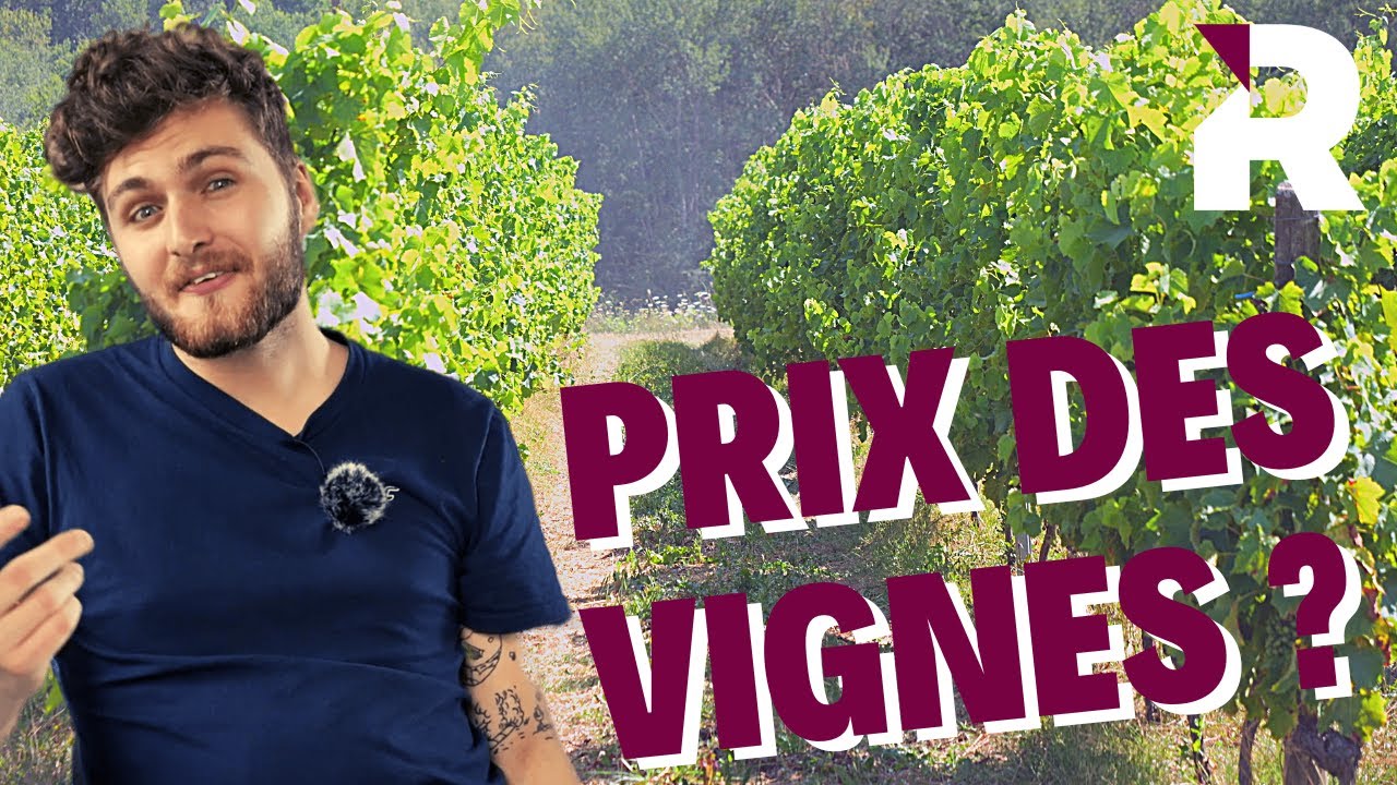 Comment expliquer le prix des vignes ?