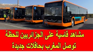 مشاهد قاسية على الجزائريين للحظة توصل المغرب بحافلات جديدة تمهيدا لكأس افريقيا