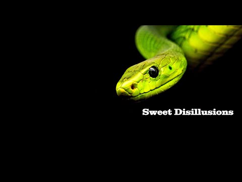 Sweet Disillusions -  Into the Snake Pit (2022)