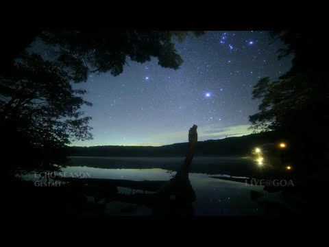 ECHO SEASON - Gestalt