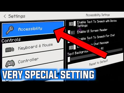 What Is ACCESSIBILITY Setting In Minecraft |Minecraft Settings Guide #3 (Hindi) | Evil Baba