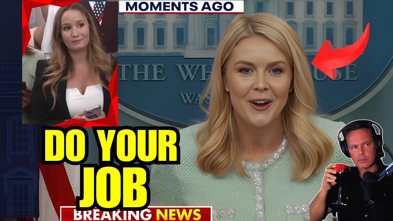 YouTube Thumbnail Downloader FULL HQ IMAGE