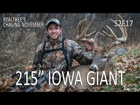 215" Bow Kill, Public Land Action | Chasing November S2E17