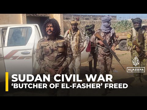 RSF fighter ‘Abu Lulu’, accused of atrocities in Sudan's el-Fasher, freed