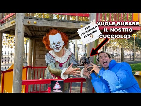 UN CLOWN CERCA DI RAPIRE IL NOSTRO NUOVO CUCCIOLO AL PARCO GIOCHI!! *che paura*