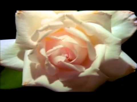 Brett Anderson feat. Emmanuelle Seigner ~ Back To You .wmv