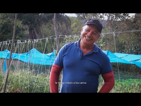 Baraya, Huila predio Vaticano.