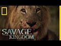 Sekekama The Colossal King Savage Kingdom