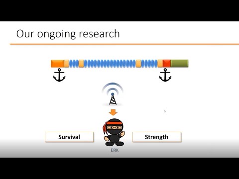 MDUK Muscles Matter 2020 - Becker muscular dystrophy seminar
