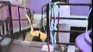 Cover art for El cacahuatazo