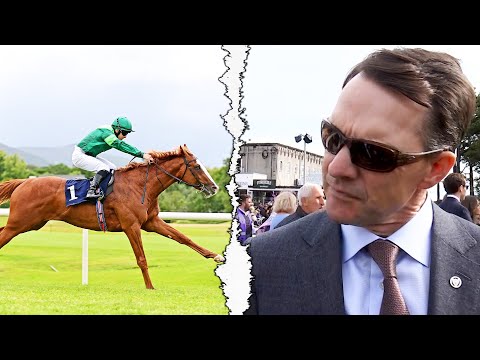 BENVENUTO CELLINI new Derby favourite