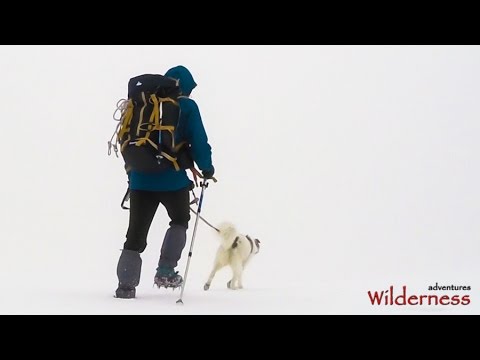Dog Alpinism sul Gran Sasso... e fu inverno sul Monte Camicia