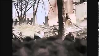 Radon - &quot;From The Wilderness&quot;