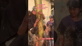 Download lagu Cewe Berjilbab..!! Wow Ikut Lomba Panjat Pohon Pisang Juara Dapat Hadiah#17agustus2023 #hutri78 mp3 Download lagu Cewe Berjilbab..!! Wow Ikut Lomba Panjat Pohon Pisang Juara Dapat Hadiah#17agustus2023 #hutri78 mp3