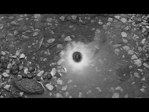 Steve Pepe - Sonnambuli