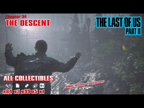 The Last of Us Part 2: Chap 34 / The Descent (All Collectibles) - HTG
