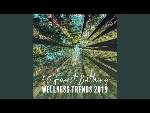 Magical Shamanic Chants