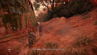 ホライゾン　禁じられた西部～まったり初見実況～11