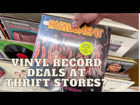 Hunting For Vinyl Records At Thrift Stores | Vinyl LPs for One Dollar | Reselling Vinyl Records