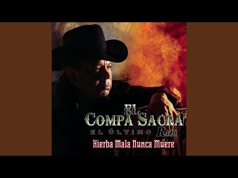 Perico, Vino Y Mujeres