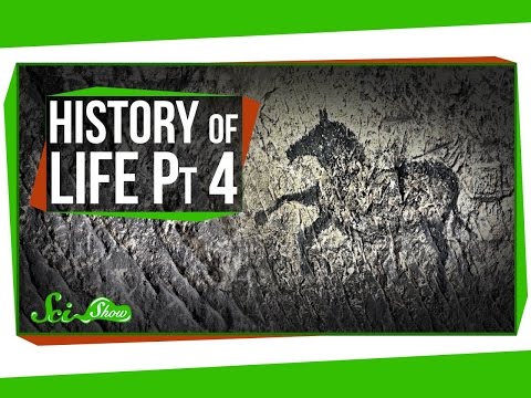 A Brief History of Life: Rise of the Humans