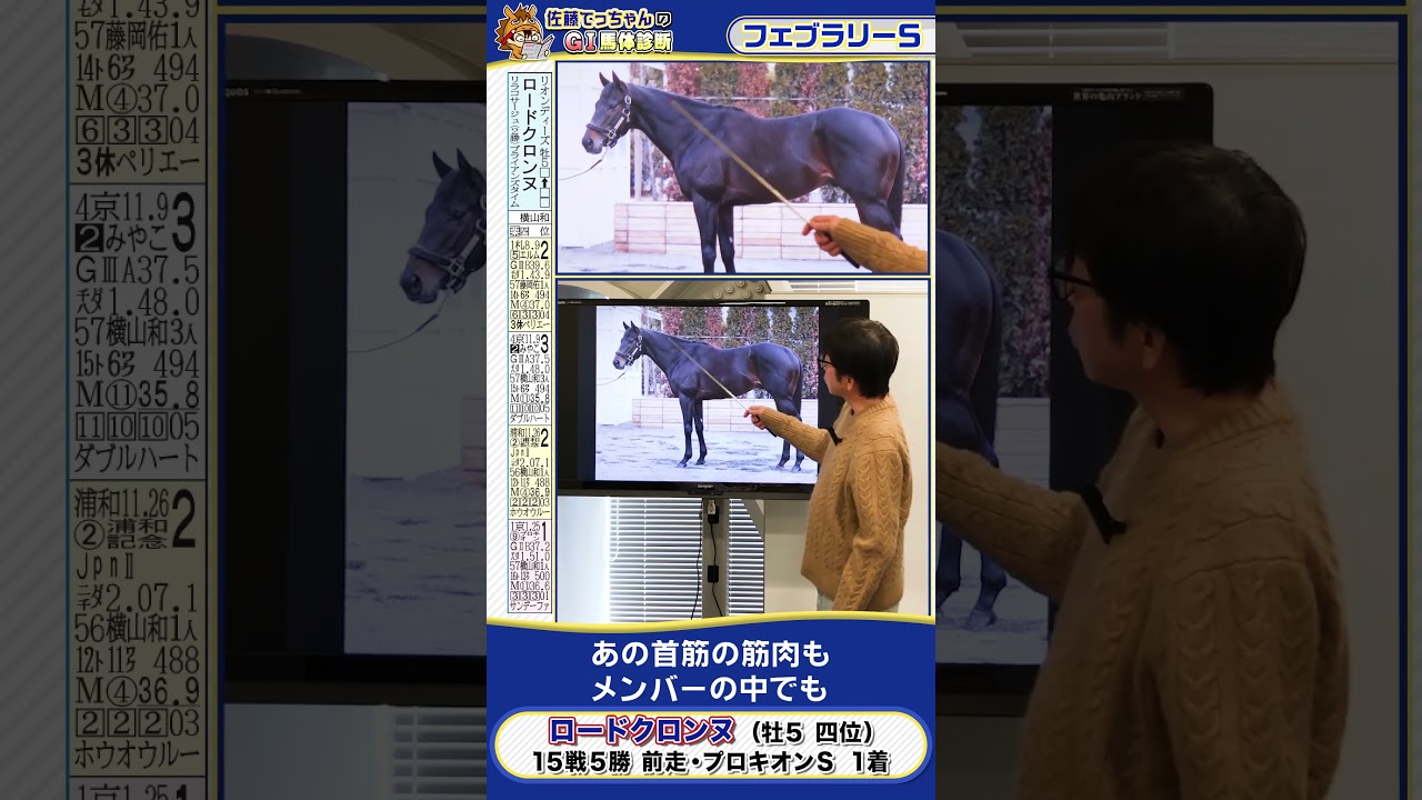 【2026年 フェブラリーＳ】ロードクロンヌの馬体診断　 #shorts #競馬 #予想