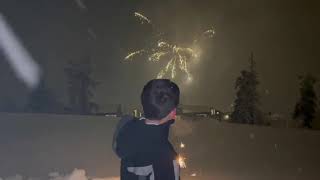 Happy New Year 2024 from Norway 🇳🇴 ノルウェーでの年越し🎇