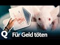 Sozialexperiment: Das machen Menschen für Geld | Quarks